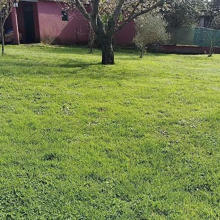 Entero Con Piscina Y Jardin. * Ourense